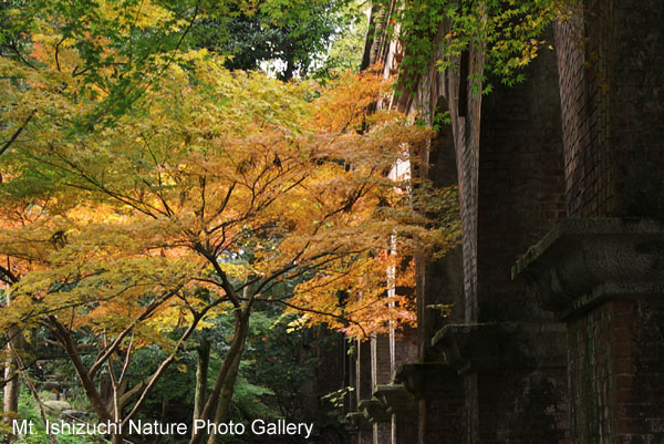 kyoto (037)